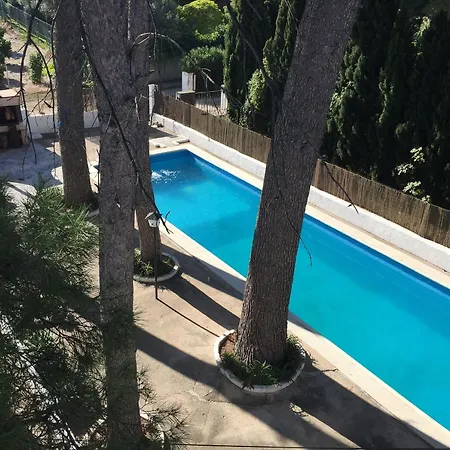 Newpalmera Casa Rural La Palmera Landhaus Ondara